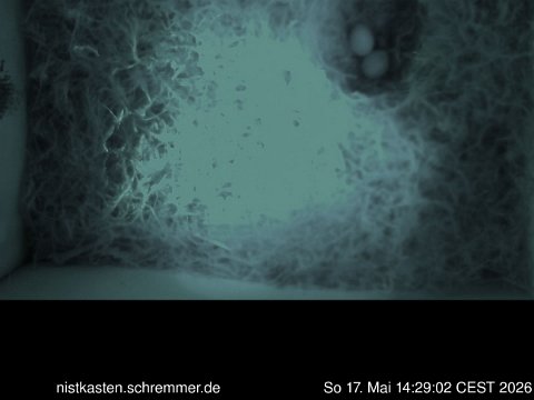 2026_05_17__14_29_02_CEST