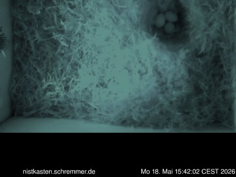 2026_05_18__15_42_02_CEST