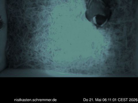 2026_05_21__06_11_01_CEST