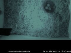 2026_05_26__14_57_02_CEST