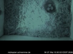 2026_05_27__13_30_02_CEST