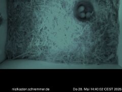 2026_05_28__14_40_02_CEST