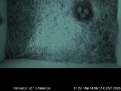 2026_05_29__14_06_01_CEST