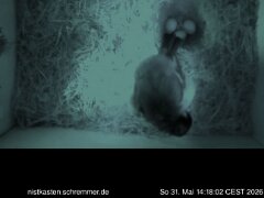 2026_05_31__14_18_02_CEST