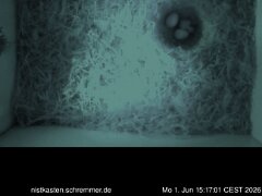 2026_06_01__15_17_01_CEST