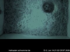 2026_06_02__14_21_02_CEST