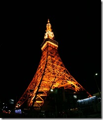 110201 - Tokyo Tower IMG_0449