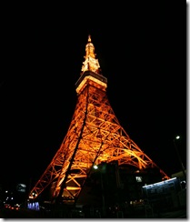 110201 - Tokyo Tower IMG_0449