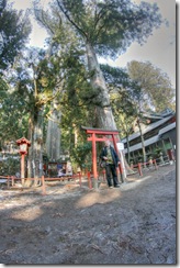 110204 - Hans vor Torii und Zeder IMG_0649_50_51_tonemapped_x1500