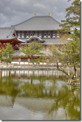 110210 - Nara Todai-Ji_MG_4350_1_2_tonemapped_x1500