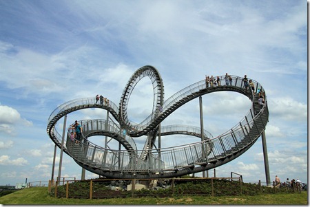 Tiger&Turtle_IMG_0090_1000x