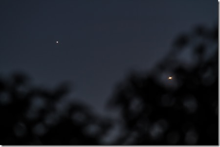 Jupiter & Venus-7903