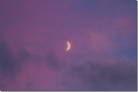 Mond in rosa Wolken-7879