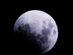 IMG_9517