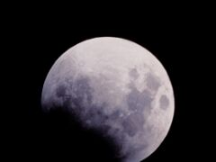 IMG_9518