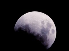 IMG_9521