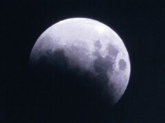 IMG_9523