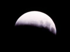 IMG_9526