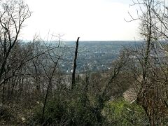 IMG_0385