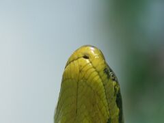 IMG_0511
