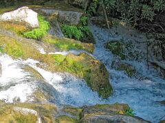IMG_1301