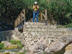 IMG_1305