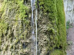 IMG_8168 Dreimühlen Wasserfall