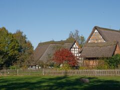 IMG_0480