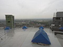 CRW_3720-01