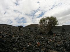 Caldera de los Cuervos_IMG_7424