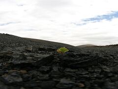 Caldera de los Cuervos_IMG_7445