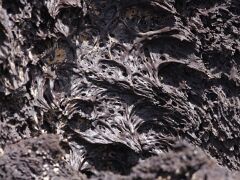 Lava_MG_7152