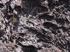 Lava_MG_7153