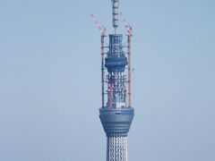 New Tokyo Tower IMG_0211