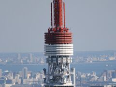 Tokyo Tower Detail_IMG_0205