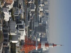 Tokyo Tower_x1000_MG_1307