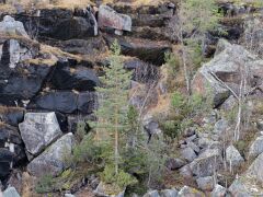 IMG_8022