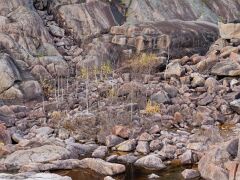 IMG_8029