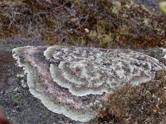 IMG_8040