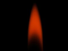 Holz_b_0007