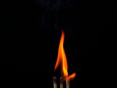 Holz_c_0005