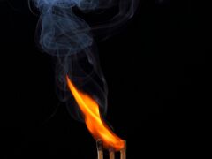 Holz_c_0006