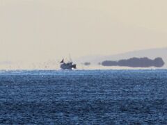 IMG_2480_c
