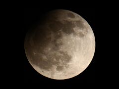 IMG_4970