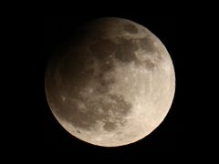 IMG_4971