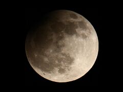 IMG_4973