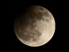 IMG_4976