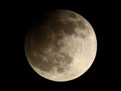 IMG_4978