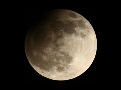 IMG_4979