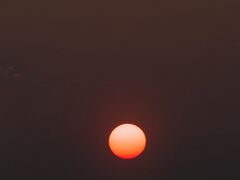 IMG_4452